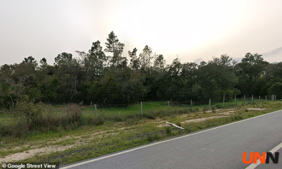 parents abandon young brothers in forest