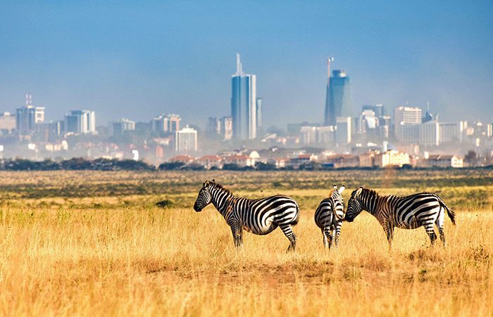 nairobi national park - major tourist attraction in Kenya
